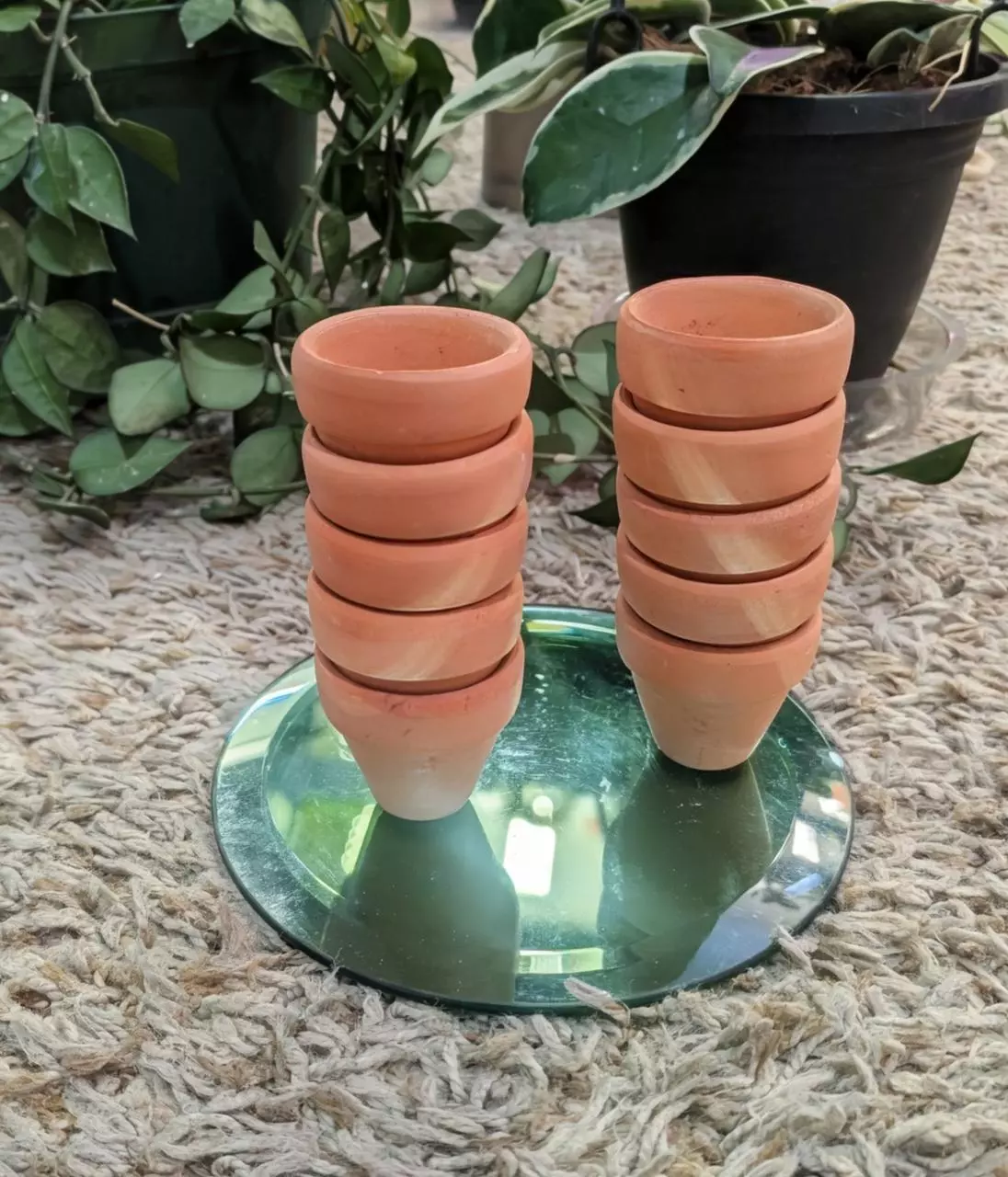 plant/10 Mini 1" Terracotta pots-0