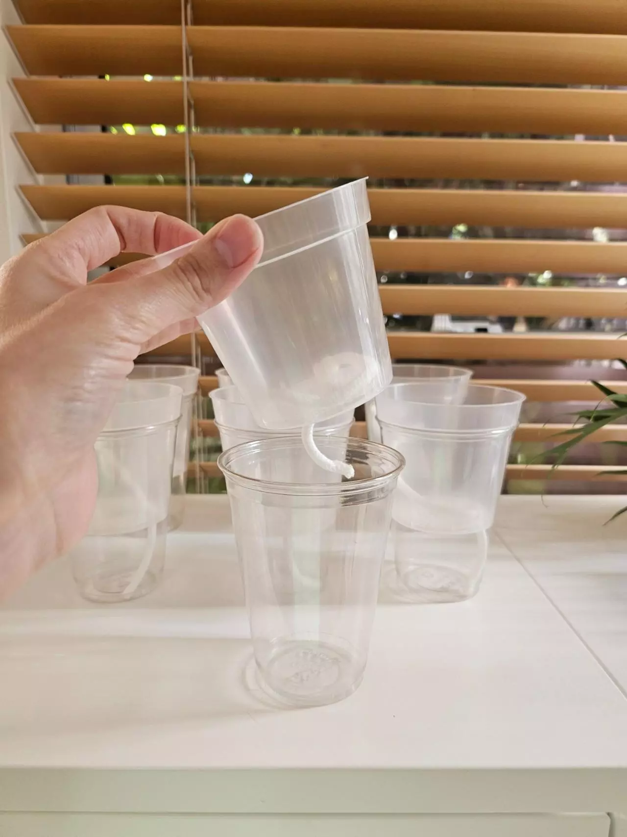 plant/12 Clear self watering pots 3"-0