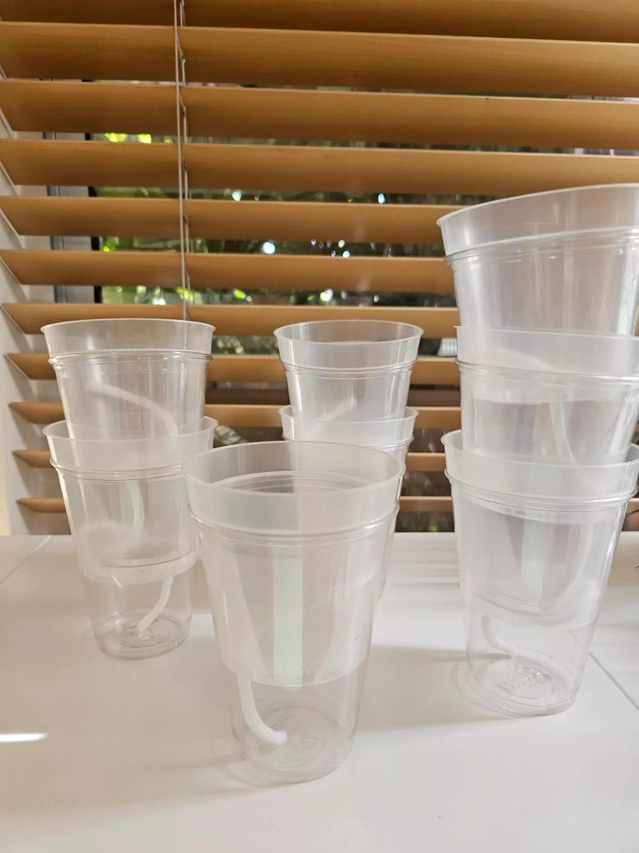 plant/12 Clear self watering pots 3"-5