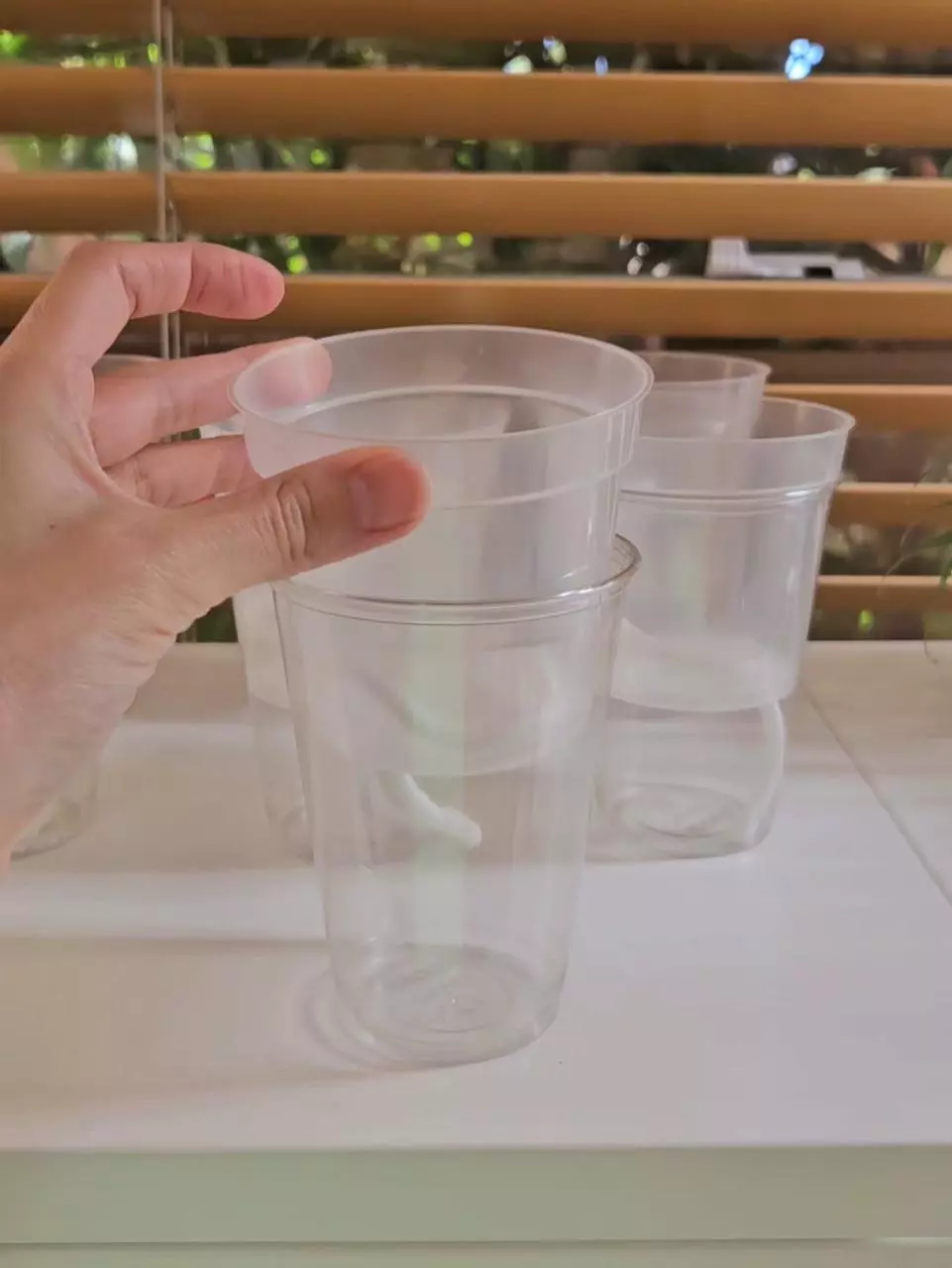 plant/12 Clear self watering pots 3"-1