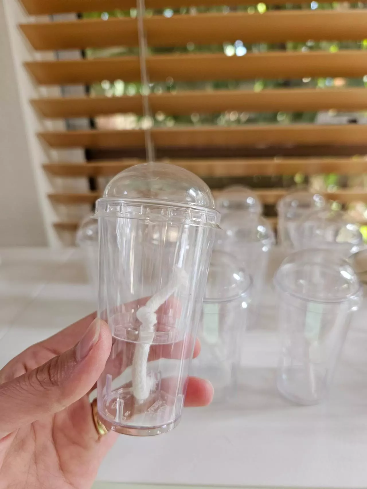 plant/12 Self watering cups for corms-0