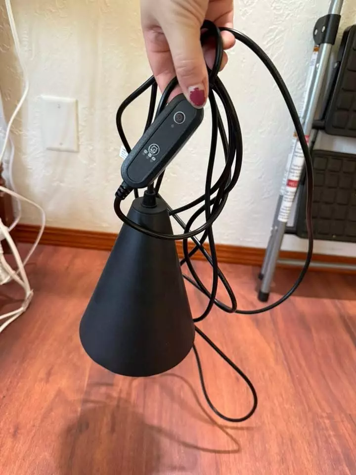 plant/Grow light-0