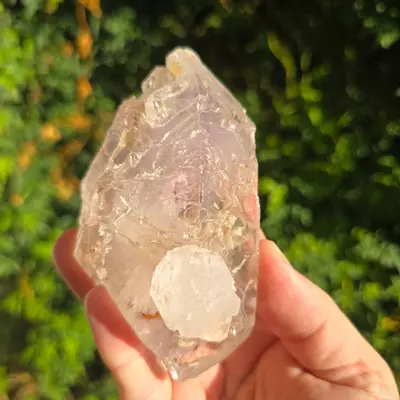 plant/Bundle for Mel-0-thumbnail