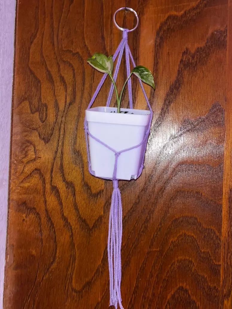 plant/Macrame Plant Hanger Bundle of 3-1