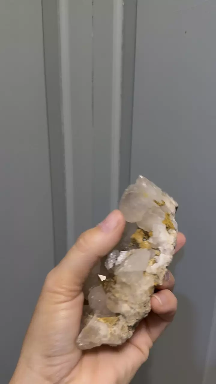 plant/Calcite with limonite-0