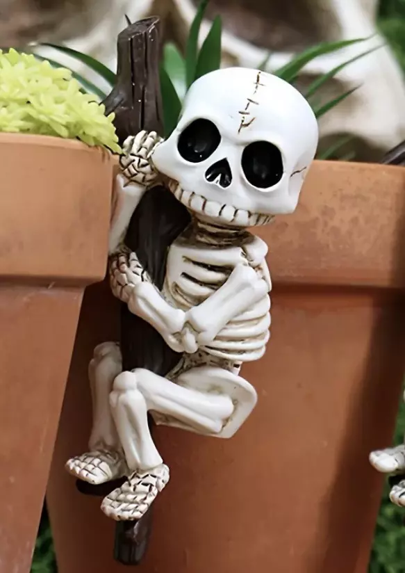 plant/Skeleton pot hanger-0