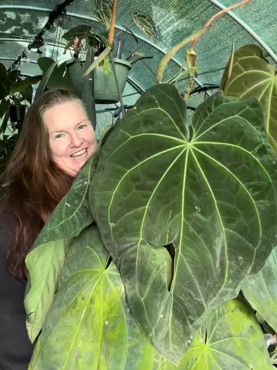 shipping_upgrade/Big Plant Shipping-0-thumbnail