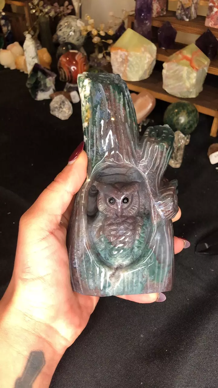 plant/Ocean jasper owl nesting in a tree-0