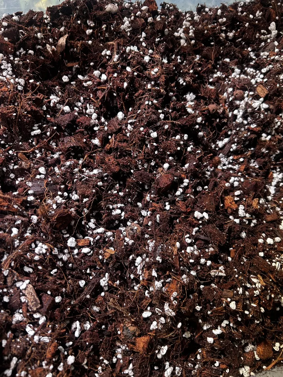 free_shipping/Bag O’ Dirt-0