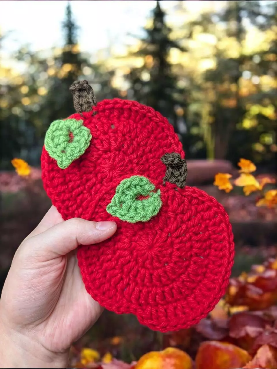 plant/Apple Coasters 2 pk-1