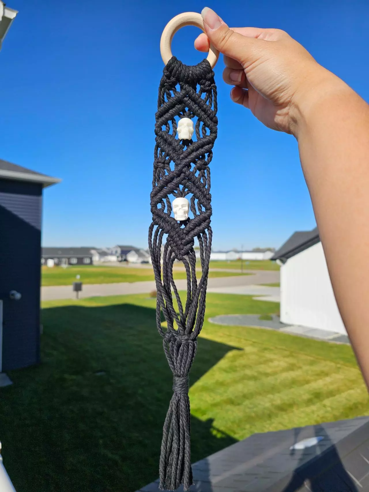 plant/Diamond wall hanger with Skulls-0