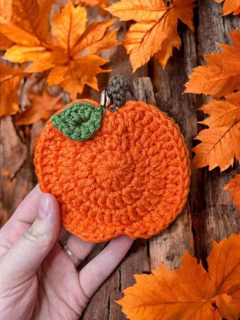 plant/Pumpkin Coasters 2 pk-0
