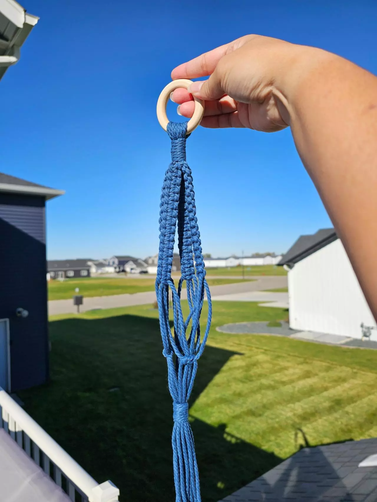 plant/Mini Hangers AKA "The Ball Sack"-1