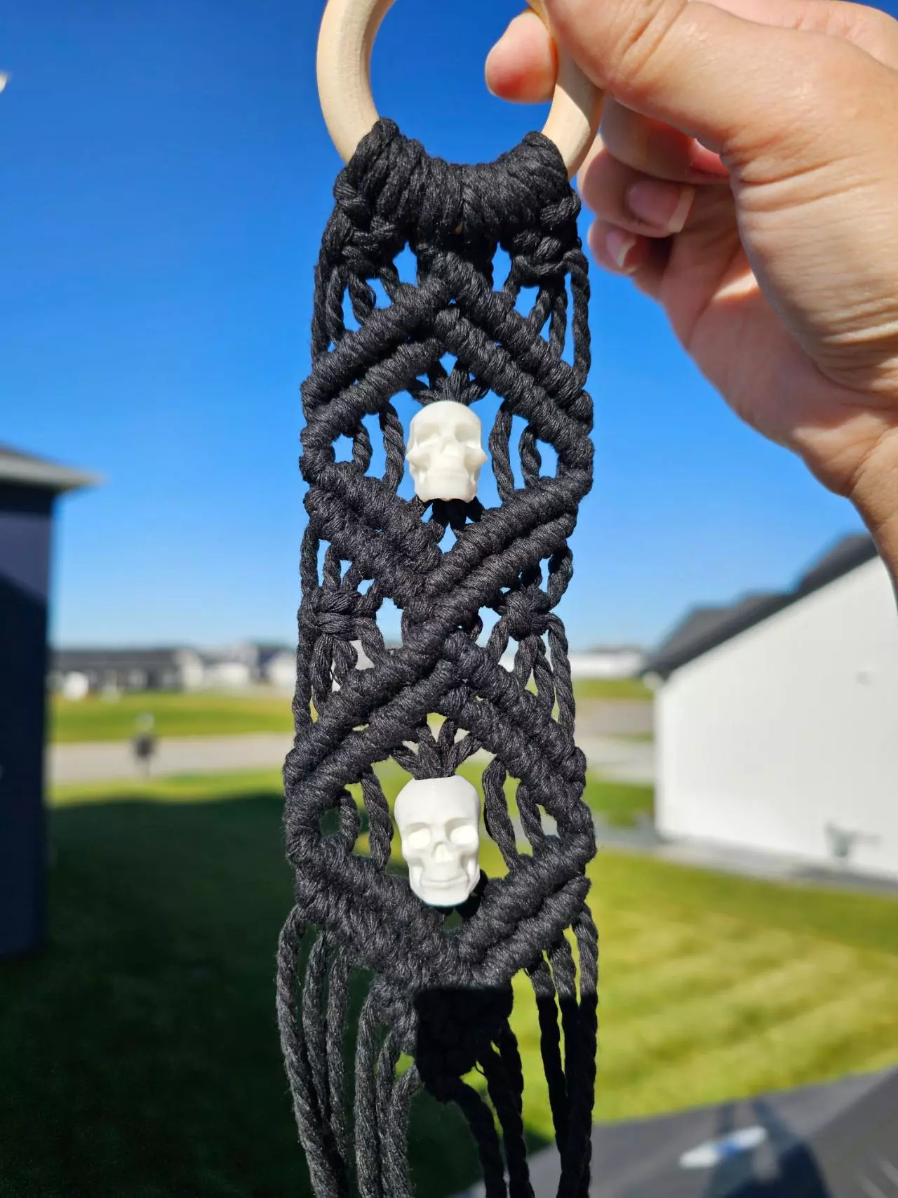 plant/Diamond wall hanger with Skulls-1