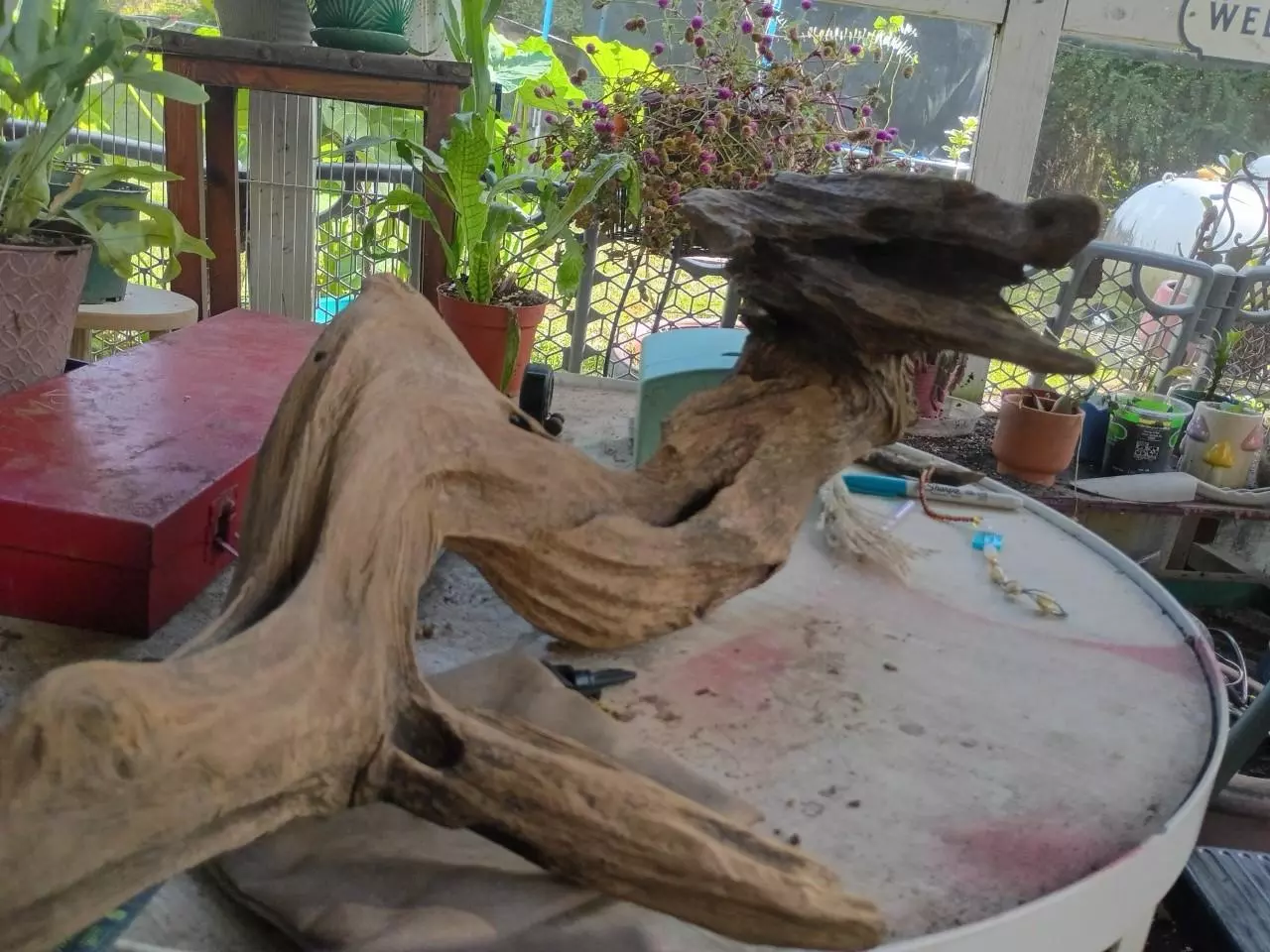 plant/Raw driftwood Sea Beast-1
