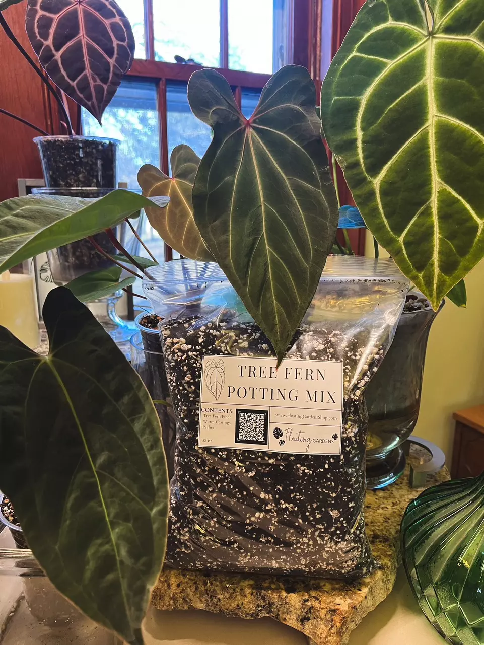 plant/Tree Fern Potting Mix - Large (32 oz)-0