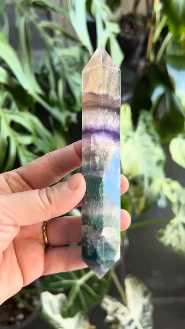 plant/✨ Double-Terminated Fluorite - appc 6”  (UV)✨-1