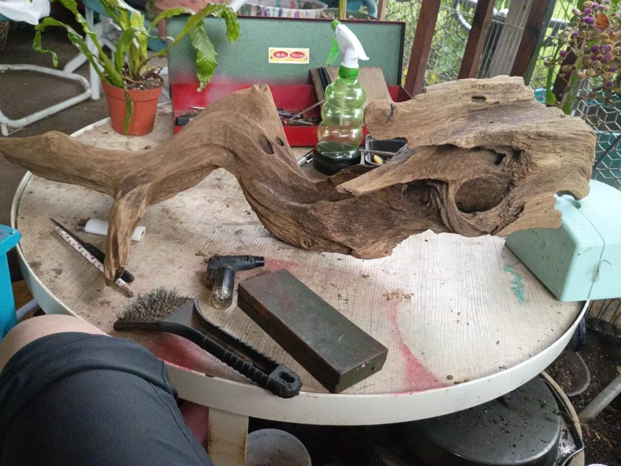 plant/Raw driftwood Sea Beast-0