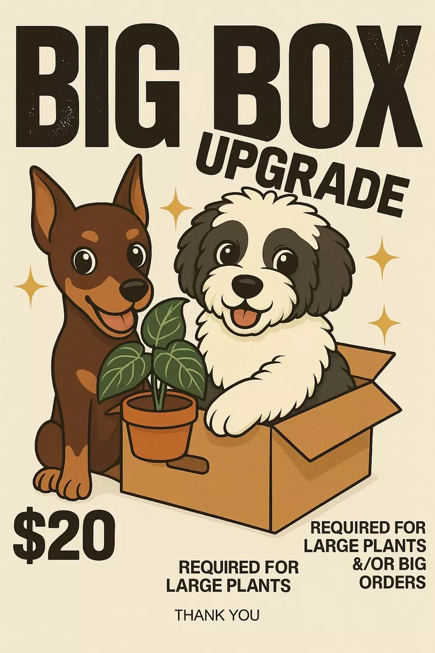 free_shipping/Big Box Upcharge-0