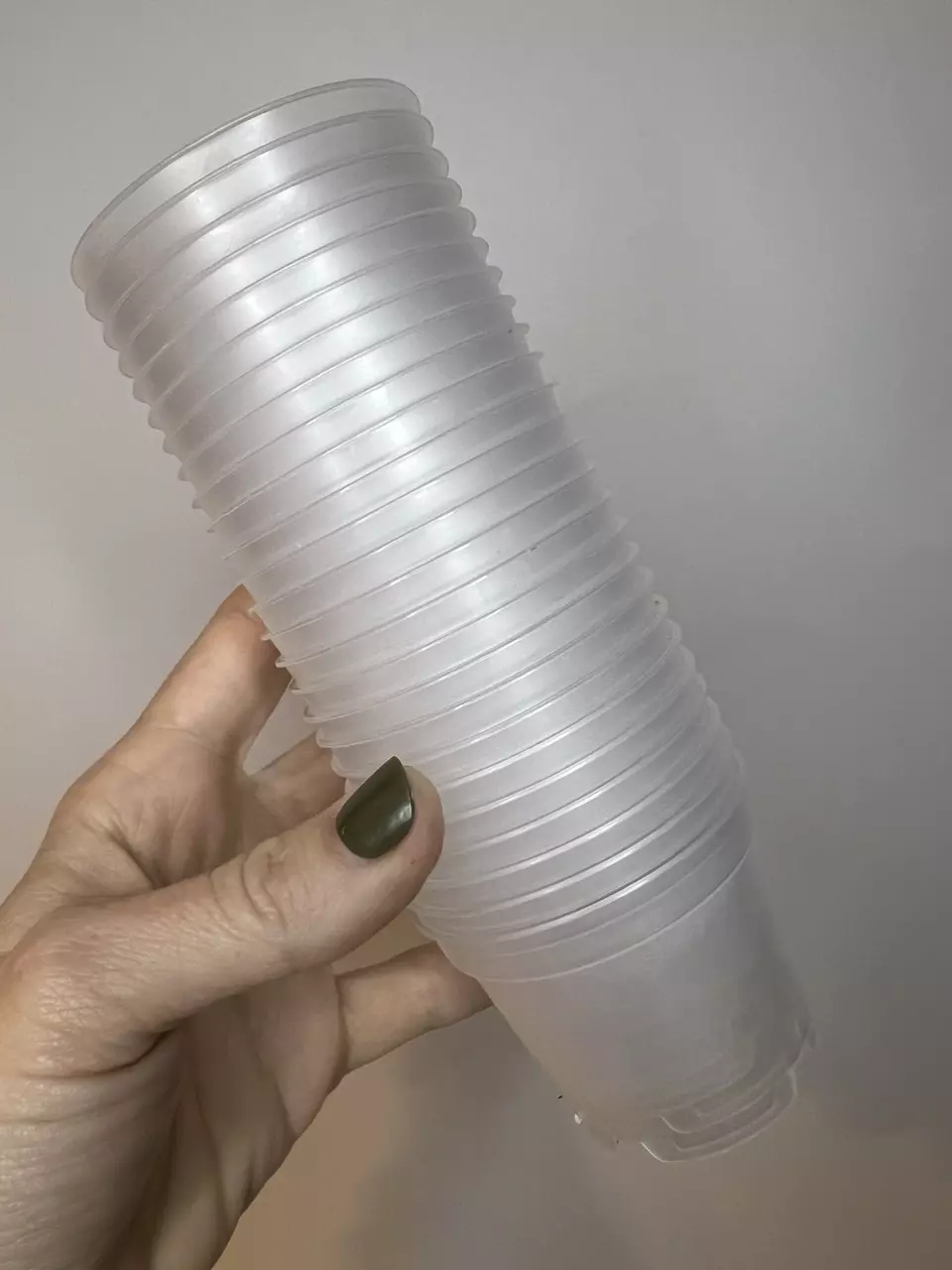 plant/25 Pack - 2” Clear Plastic Pots-0