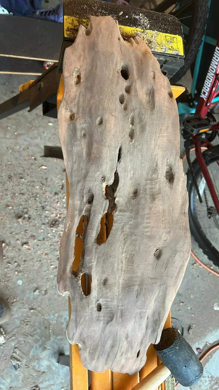 plant/Finished driftwod for plant mount - custom to your specifications - small/medium-1