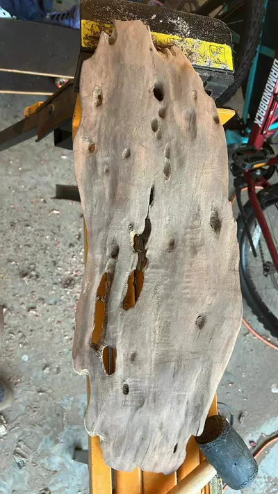 plant/Finished driftwod for plant mount - custom to your specifications - small/medium-1-thumbnail