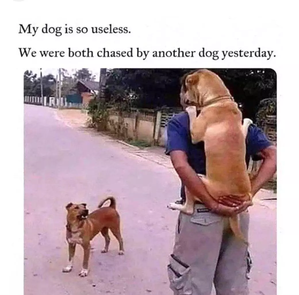 insulation/PROTECT MY ORDER FOR THE 🥶 ☃️ 🧊  ❄️-0