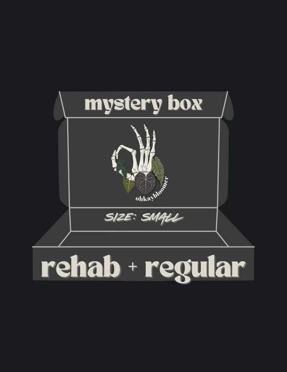 plant/ANTHURIUM MYSTERY BOX: REHAB+REGULAR-0