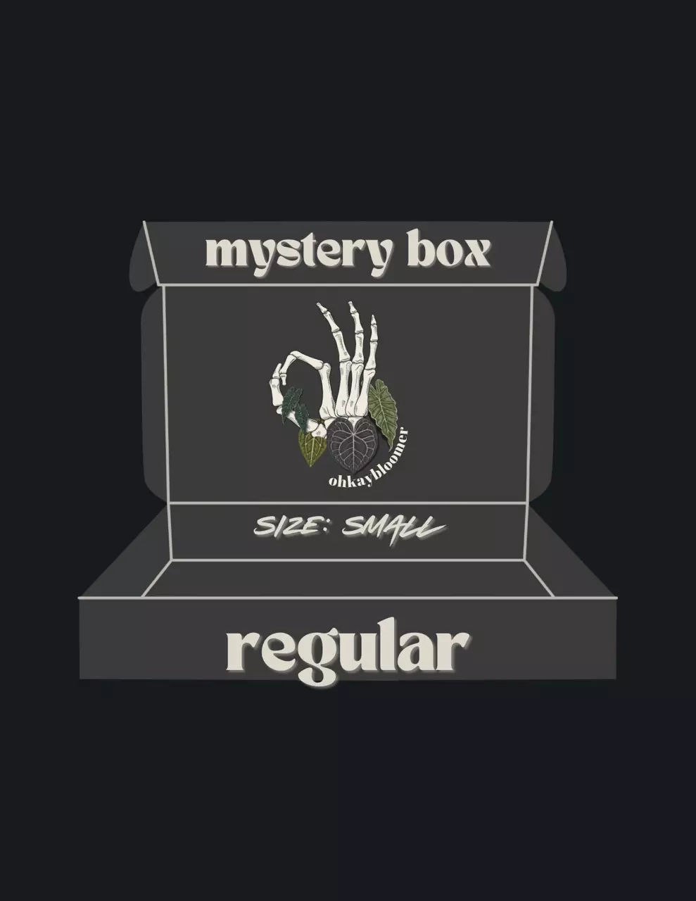 plant/ANTHURIUM MYSTERY BOX: REGULAR-0