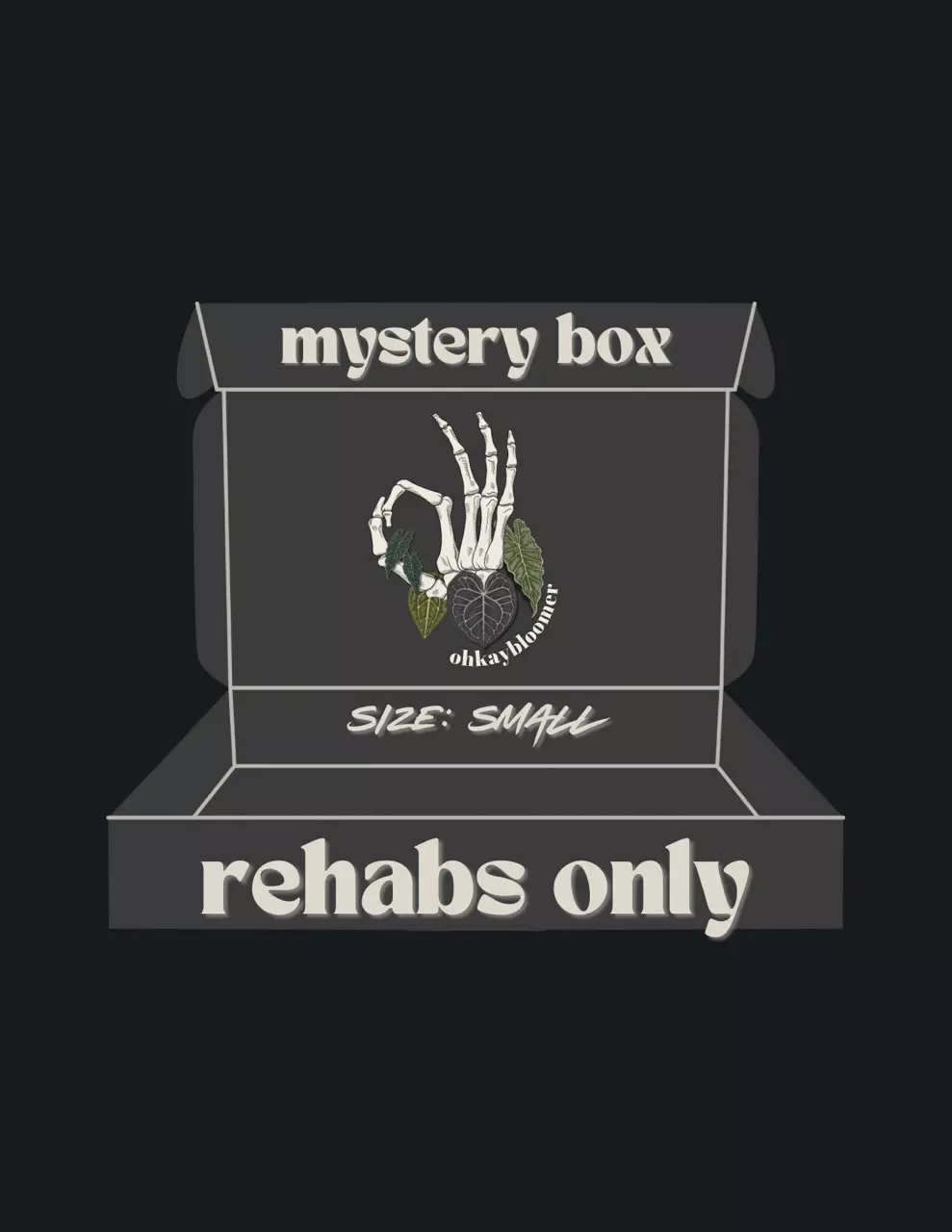 plant/ANTHURIUM MYSTERY BOX: REHABS ONLY-0