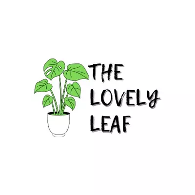 plant/USPS 2 DAY SHIPPING UPGRADE-0-thumbnail