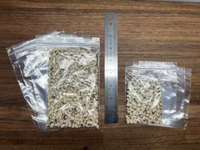 plant/10 x Zipper Bags-0-thumbnail