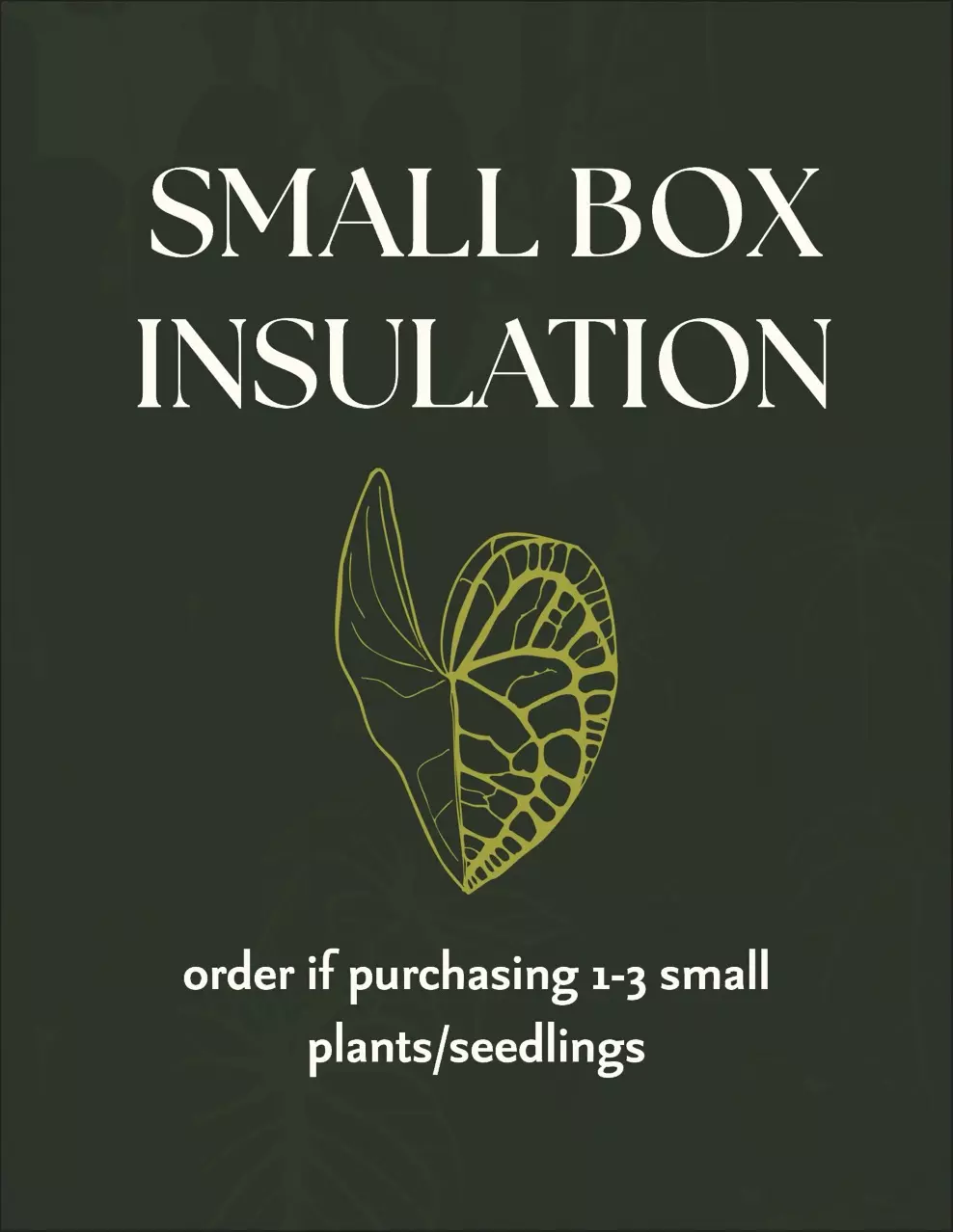 plant/SMALL BOX insulation-0