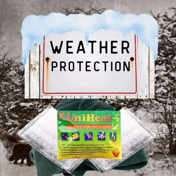 plant/Weather Protection (Upgrade)-0