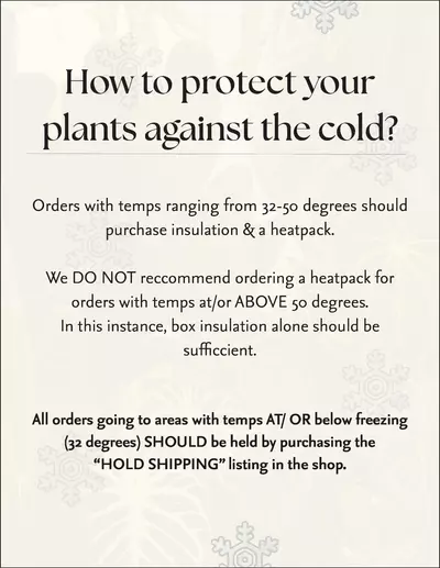 plant/BIG BOX insulation-1-thumbnail