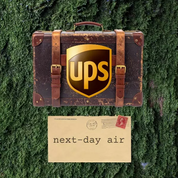 plant/UPS Next-Day Air (Upgrade)-0