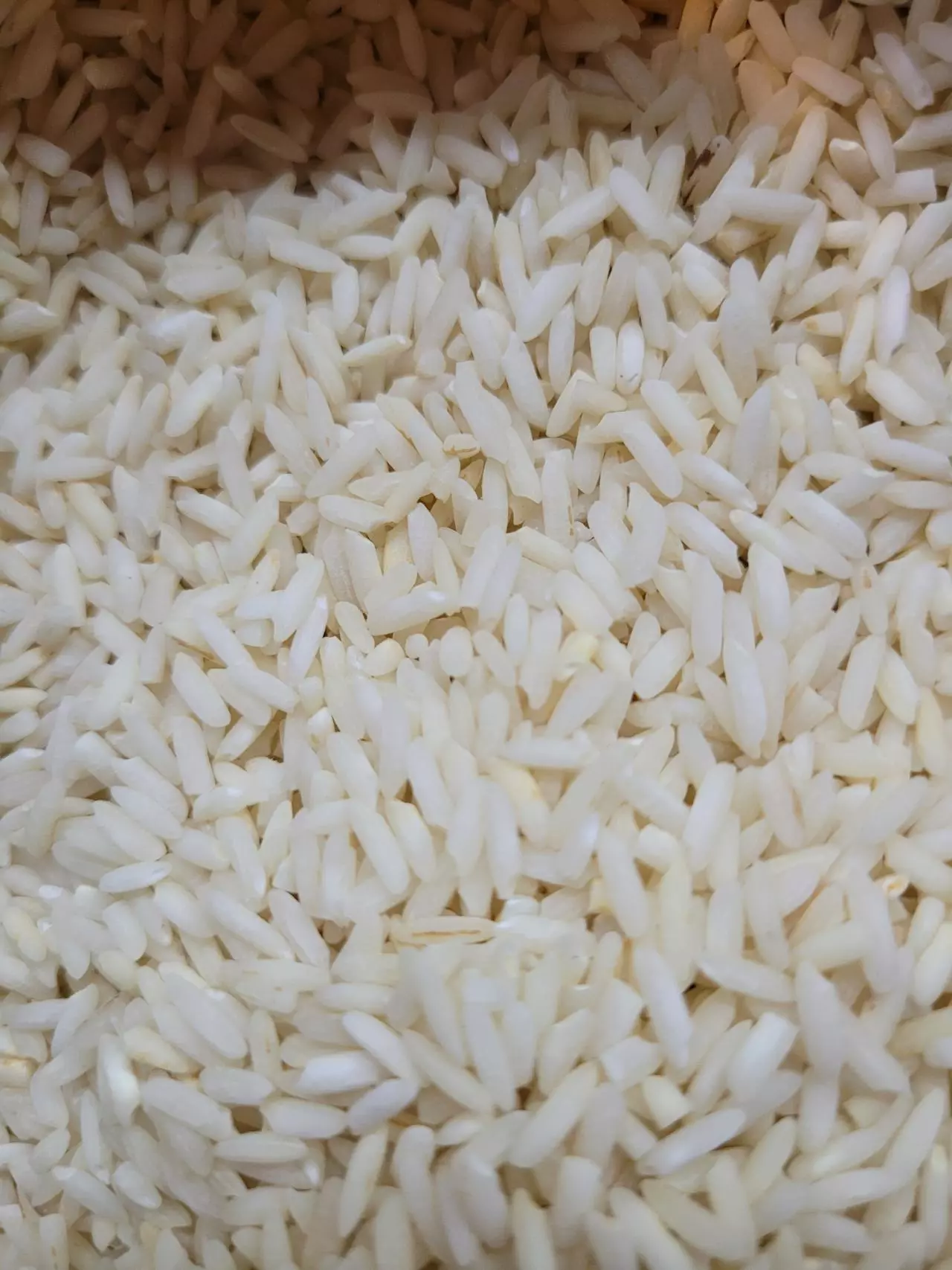 plant/Handmade Small Rice Hot/ Cold Comfort Pack 8"x3.5" (EXACT Item) Yellow and Cream-2