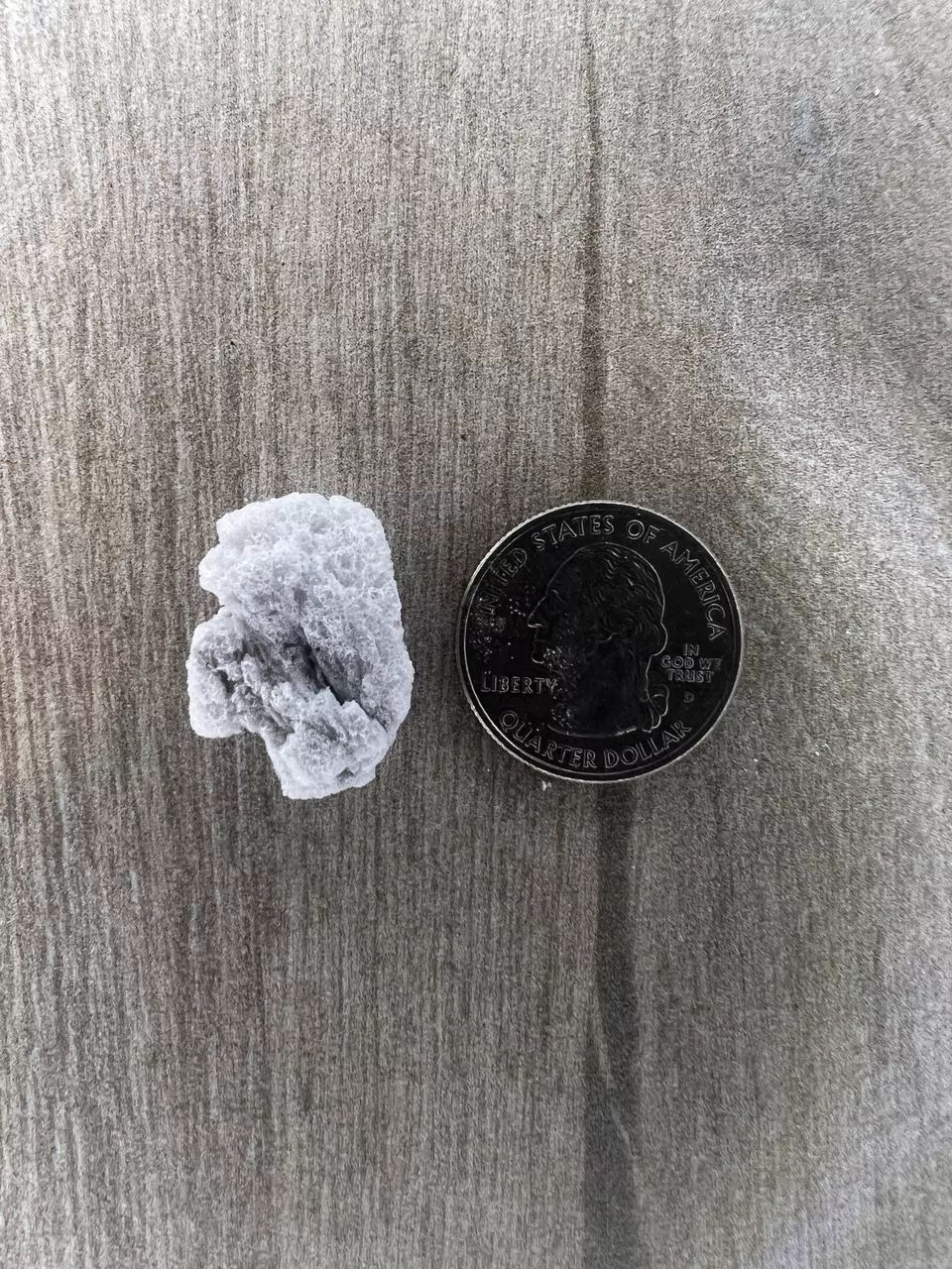 plant/Perlite #4 - Soil Amendment-1