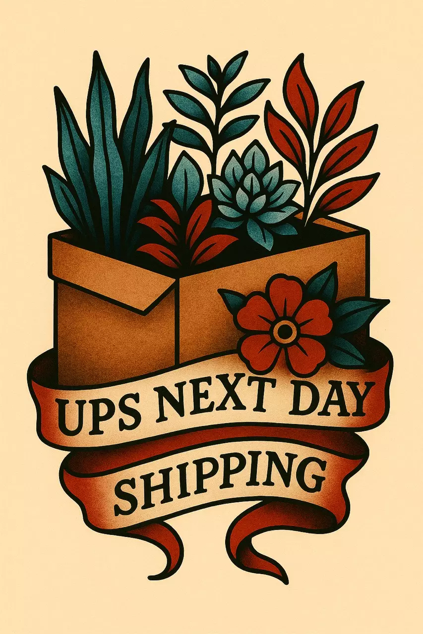 plant/UPS Next Day Shipping-0