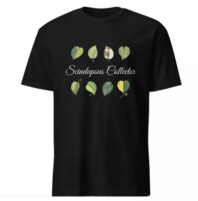 plant/Scindapsus Collector Unisex Tshirt - Black-0-thumbnail