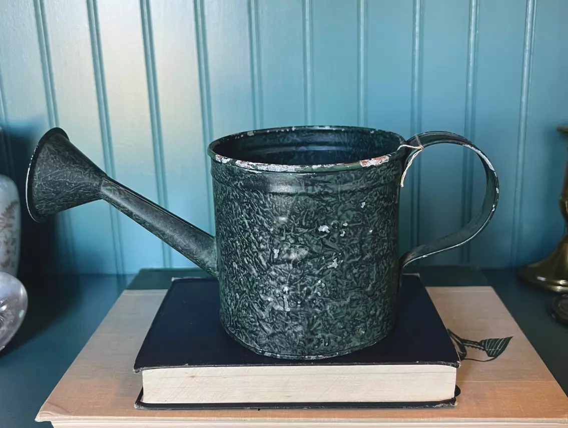 plant/Green Metal Watering Can-0