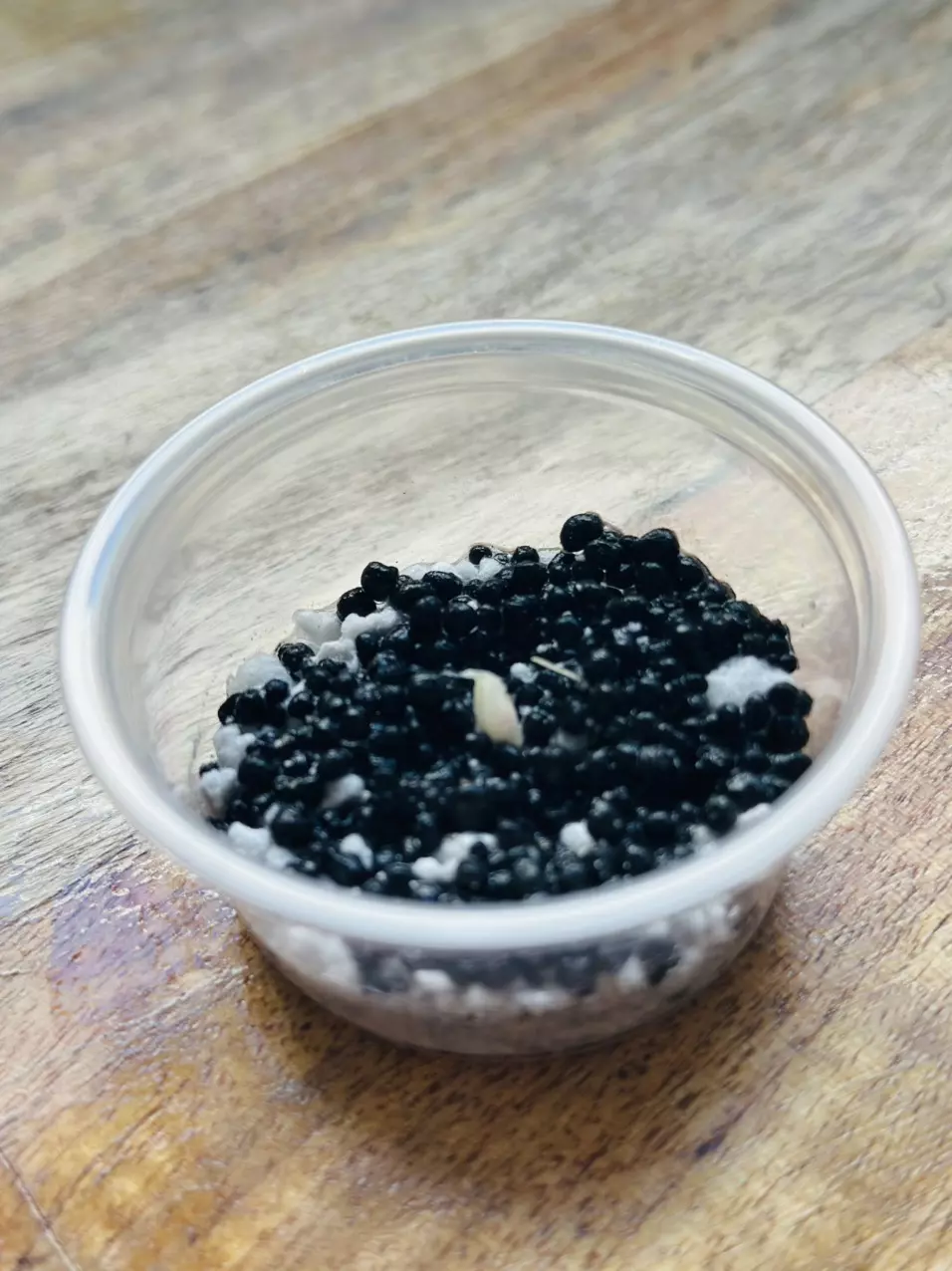 plant/Black Velvet Ninja Albo/Pink Rooted Corm-1