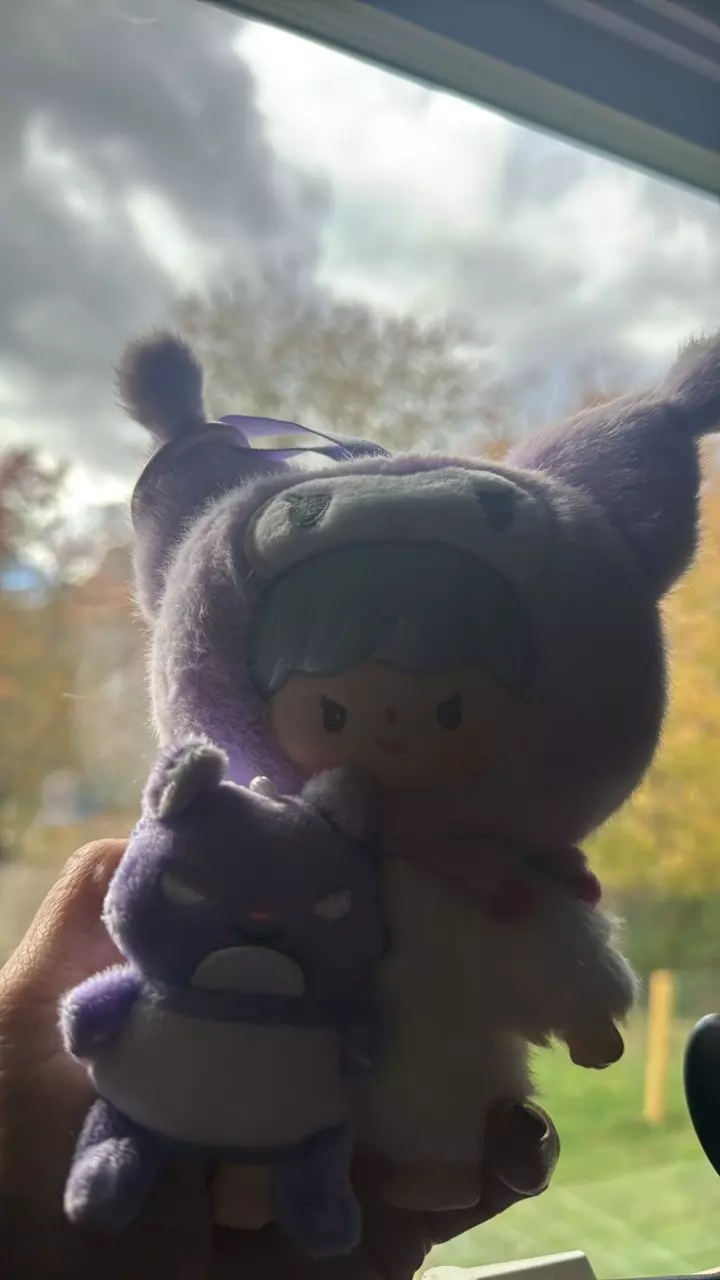 plant/Highly chase Kuromi with detachable plushy-1