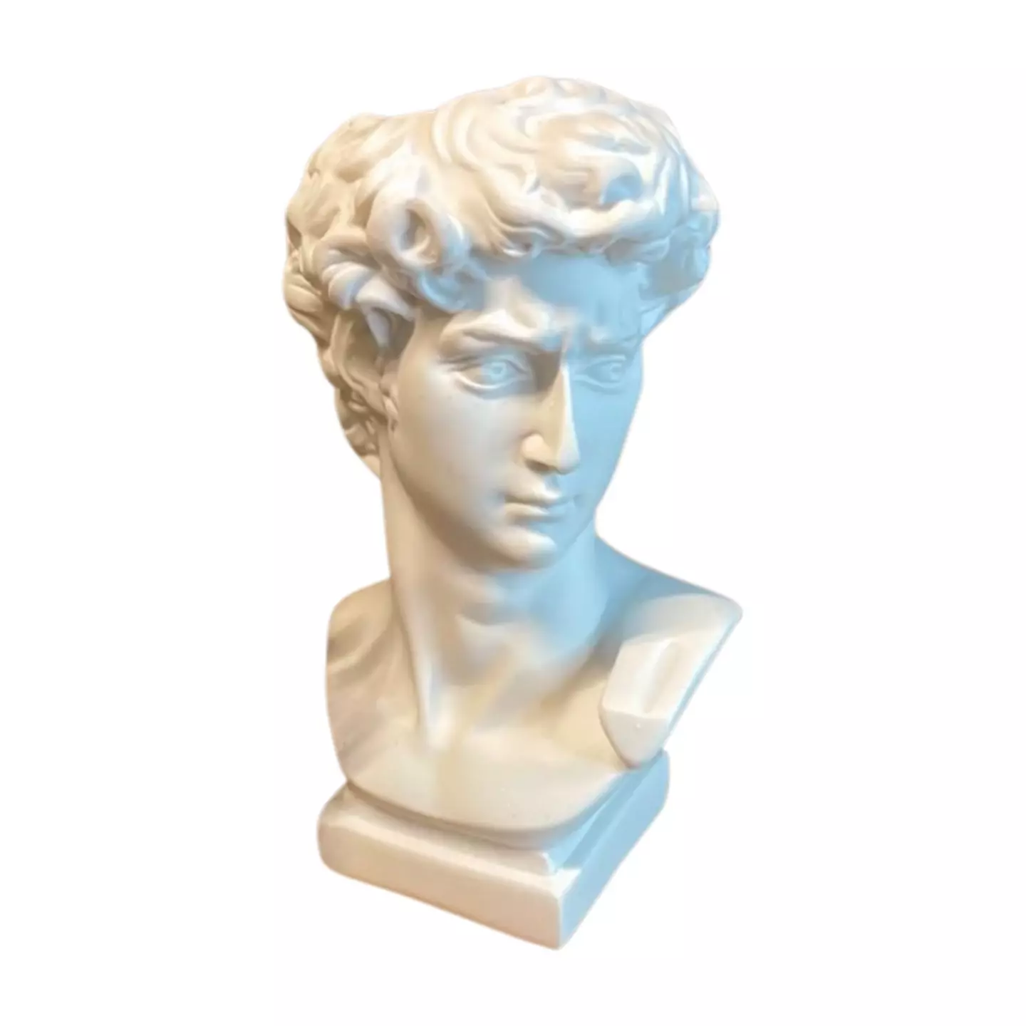 plant/David Resin Planter Head 4.5 inch-0