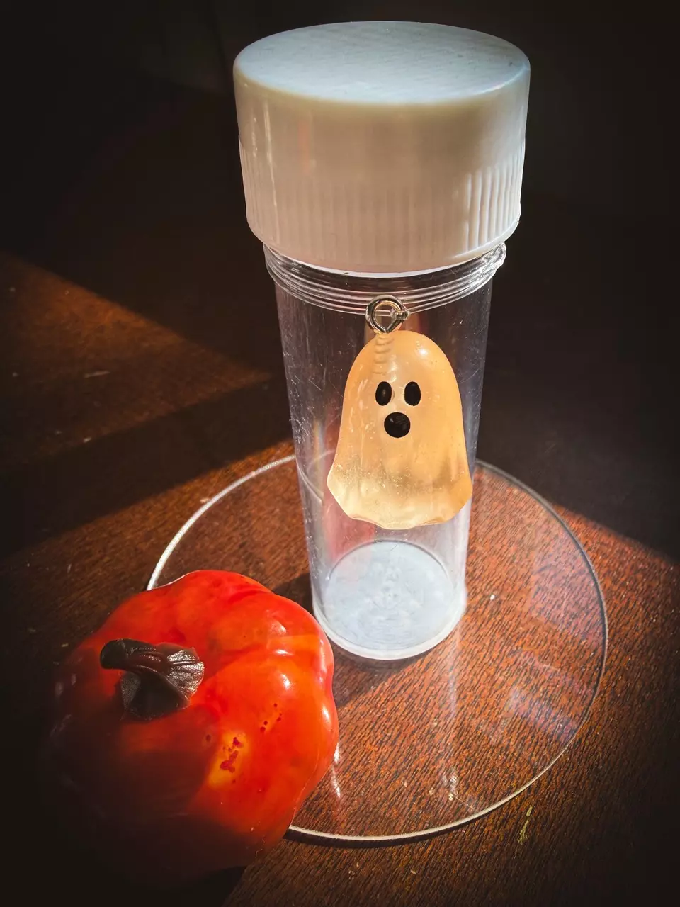 plant/👻NEW! Kids Prop Kit - Ghosts (Orange) *Glow *Holidays *Halloween *Ghosts-0