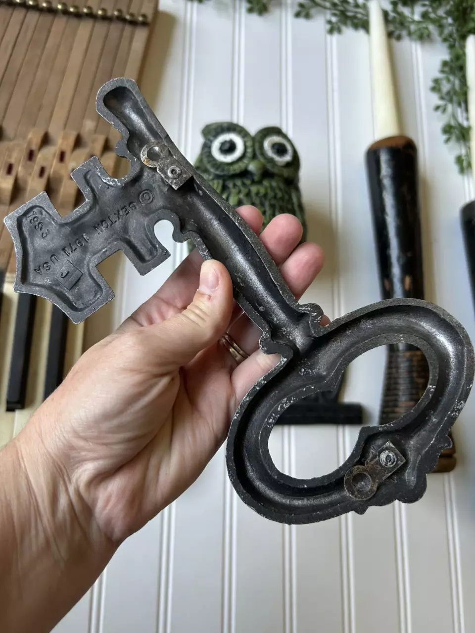 plant/Two vintage metal keys-3