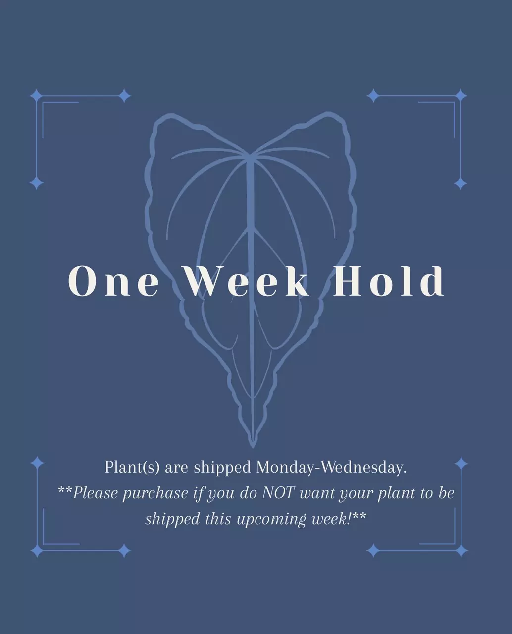 heat_pack/One Week Hold-0