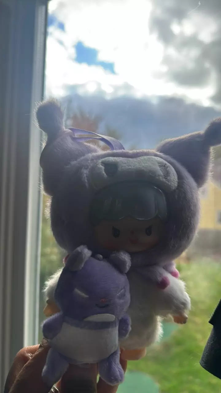 plant/Highly chase Kuromi with detachable plushy-0