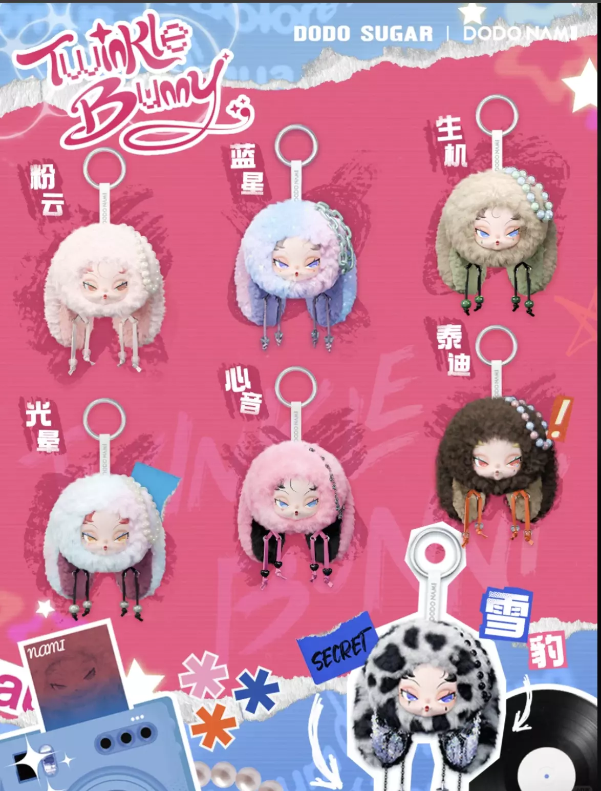 plant/1Box Twinkle Bunnt Dodo Sugar-0
