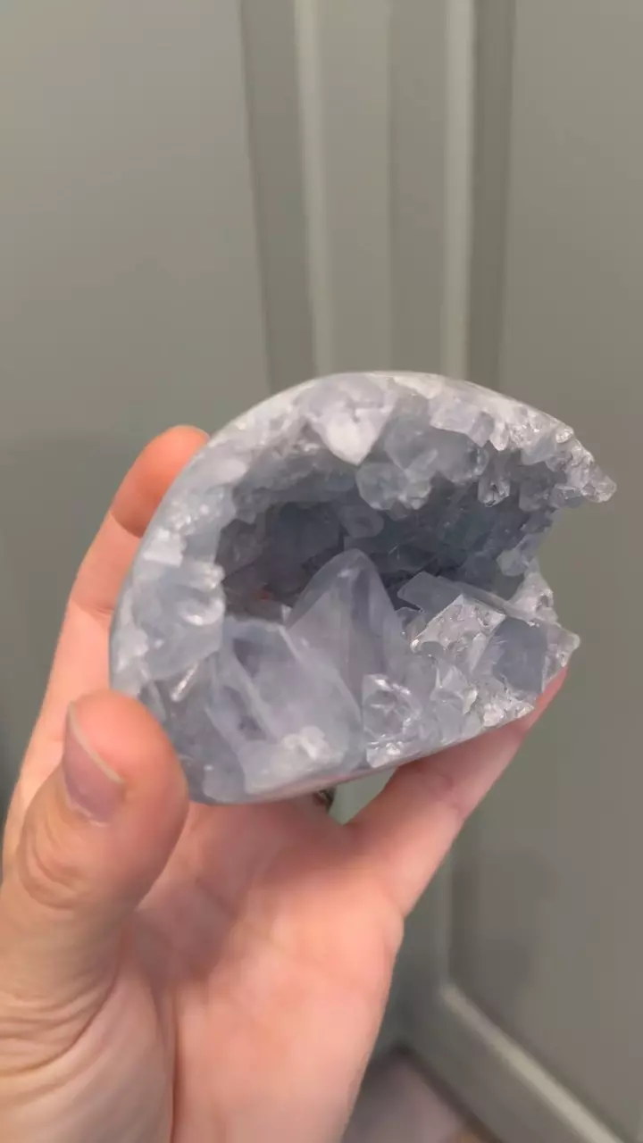 plant/Blue celestite egg-0